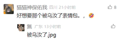 这是一张社交媒体评论区的屏幕截图，呈现了两位用户的趣味互动。来自四川的用户“猫猫神保佑我”在21小时前发布评论，表达了想要一款名为“被鸟沩了”的表情包的诉求，还附带了一个流汗的黄脸表情；13小时后，来自广东的用户“無”以“被鸟沩了.jpg”的形式进行回复，模拟提供该表情包的文件，形成了一种轻松有趣的互动氛围。其中“被鸟沩了”大概率是谐音梗，疑似对应“被拿捏了”这类网络流行语，通过谐音改写制造出独特的趣味点。
