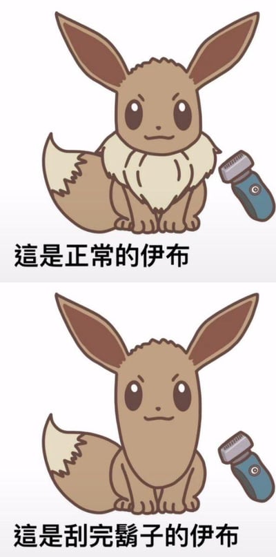 这是一张上下分栏的对比类趣味梗图，上方展示了宝可梦系列中的经典角色伊布的官方形象：浅棕色的伊布呈坐姿，脖子处有着标志性的米白色围脖状毛发，旁边放置着一个电动剃须刀，配文“这是正常的伊布”；下方则是经过修图修改后的伊布，其脖子处的米白色毛发被去除，看起来像是把“胡子”刮掉了，伊布的颈部与身体连成一体，旁边同样摆放着电动剃须刀，配文“这是刮完胡子的伊布”。该图通过将伊布的颈部毛发类比为人类的胡子，用修图制造出“刮胡子”的视觉效果，形成搞笑的反差感，戳中网友的趣味点。