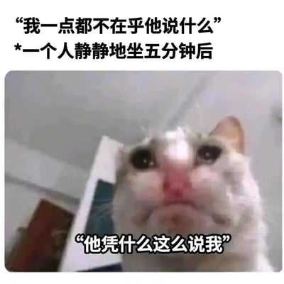 这是一张文字加注类的宠物表情包，通过三段文字与一张委屈猫咪的实拍图结合，生动还原了人们在被他人负面评价后的内心转变：一开始嘴硬表示“我一点都不在乎他说什么”，但在独处五分钟后，内心开始不断内耗，最终陷入委屈与不甘，发出“他凭什么这么说我”的控诉。图中的猫咪眼眶含泪、鼻头泛红，委屈巴巴的神态完美契合了这种事后越想越委屈的情绪，精准戳中了很多人嘴硬心软、容易陷入情绪内耗的状态，因此在社交平台被广泛用于抒发此类情绪。