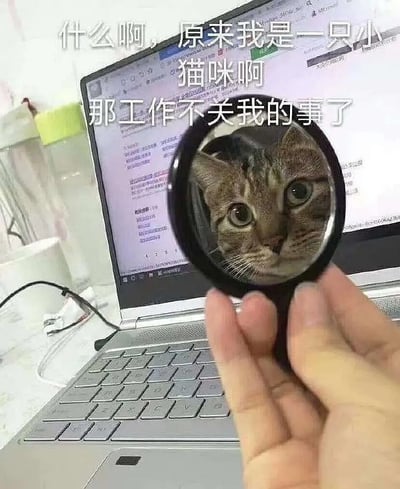图片展示了一只猫的脸通过手持小圆镜出现在电脑屏幕前，把人脸和猫脸搞成错位。上方配字：“什么啊，原来我是只小猫咪啊，那工作不关我的事了”。通过猫咪形象拟人化表达对工作的逃避，带有轻松幽默和“摸鱼”心态。猫咪与工作的身份错位形成趣味反差，深受打工人喜欢。
