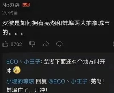 社交媒体帖子截图，用户'Noの孬'（LV5）于2小时前发布提问'安徽是如何拥有芜湖和蚌埠两大抽象城市的。。。'，获8702点赞。评论区中，'ECO丶小王子'留言'芜湖下面还有个地方叫开冲'并配哭笑表情，'小埋的琼琼'回复'芜湖!蚌埠住了，开冲!'。
其中'抽象城市'指因网络迷因和梗文化走红的城市；'蚌埠住了'是谐音梗，谐音'绷不住了'，表示忍不住笑；'开冲'为网络用语，常含调侃或开始行动之意。