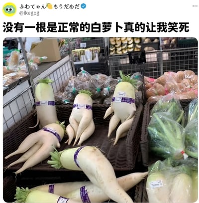 超市蔬菜区的场景，展示了一篮形状奇特的白萝卜。这些白萝卜不像普通萝卜那样笔直生长，而是长出了多个分叉，看起来像长了腿或手的人形，姿态各异，十分滑稽有趣。图片上方配有文字'没有一根是正常的白萝卜真的让我笑死'，表达了对这些畸形萝卜的幽默调侃。