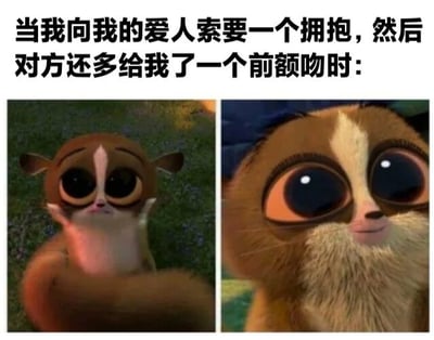 图片上方配有文字“当我向我的爱人索要一个拥抱，然后对方还多给我了一个前额吻时：”，下方分为左右两格，左侧是《马达加斯加》中的狐猴莫里斯表情平静地看着前方，右侧是同一只狐猴睁着超大闪亮的眼睛，露出惊喜又幸福的表情，生动展现了得到额外爱意时的激动心情。