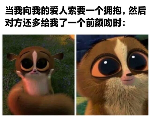 马达加斯加