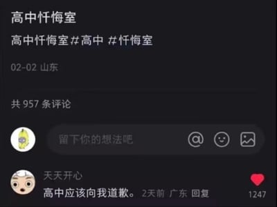 这是一张竖屏的社交媒体评论区截图，内容为一个标题是“高中忏悔室”的帖子，带有#高中 #忏悔室的标签，发布于02-02山东，共有957条评论。在评论区中，用户“天天开心”（广东，2天前回复）留下评论“高中应该向我道歉”，这条评论获得了1247个点赞。这条评论以简洁又充满情绪的表达，戳中了许多人对高中时期的压力、遗憾等复杂情绪，容易引发共鸣，不存在双关、谐音梗或暗示内容。