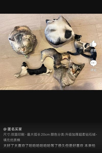 图片展示了五个造型各异的猫咪毛绒玩具摆放在浅色木地板上，包括趴着的、仰卧的、侧躺的等不同姿势。右侧有社交媒体平台常见的点赞和评论图标，底部显示用户评价和商品信息。整体画面呈现出可爱、治愈的氛围，适合作为商品展示或萌宠内容分享。
