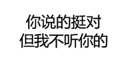 你说的挺对但我不听你的