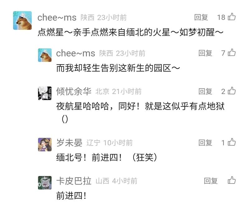 柴犬网络梗图