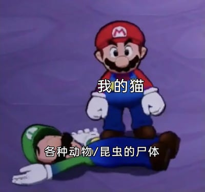 这张梗图改编自超级马里奥系列的动画截图，将站在上方的马里奥标注为“我的猫”，躺在地上的路易吉标注为“各种动物/昆虫的尸体”，用幽默夸张的画面精准还原了养猫人群的真实日常：家猫常常会把自己捕捉到的小动物或昆虫尸体带回家，当作“礼物”送给主人，这种行为让主人既无奈又哭笑不得，引发了众多养猫用户的强烈共鸣。
