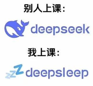 这是一张上下对比的搞笑梗图，上方展示“别人上课”的状态，搭配AI工具DeepSeek的官方logo，表现出他人上课认真使用学习工具的样子；下方展示“我上课”的状态，将DeepSeek的字样修改为DeepSleep，还添加了代表睡觉的“zzz”符号，表现出自己上课容易犯困的状态。
谐音梗说明：利用“DeepSeek”与“DeepSleep”的英文发音相近的特点，通过修改品牌名称制造反差，调侃上课犯困的日常。