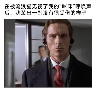 这是一张反差感拉满的搞笑梗图，上方配文描述了一个日常小尴尬场景——满怀期待地用“咪咪”呼唤流浪猫，却被对方无视，自己只能强装毫不在意；下方配图是电影《美国精神病人》里帕特里克·贝特曼的经典截图，他身着精致西装、戴着耳机，面无表情、眼神冷漠，看似镇定的神态完美契合了那种表面装作无所谓，实际内心有点小受伤的状态，用严肃压抑的影视画面来调侃日常的小失落，形成了强烈的反差搞笑效果。