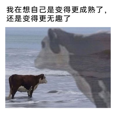这是一张引发成长共鸣的图文梗图，顶部配有文字“我在想自己是变得更成熟了，还是变得更无趣了”，画面主体是一头站在海边浅滩里的棕白相间小牛，它的前方有一个模糊的大牛虚影，仿佛是小牛想象中的“未来自身”。这一视觉设计将文字中的困惑具象化，隐喻人们在成长过程中，常常会疑惑自己在变得成熟稳重的同时，是否也丢失了曾经的鲜活与趣味，精准戳中年轻人对成长变化的迷茫心态，容易引发广泛的情绪共鸣。