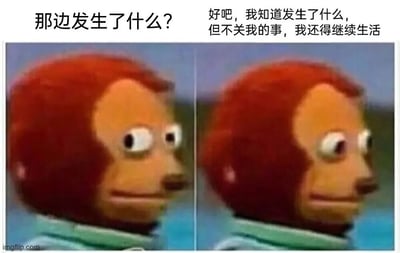 这是一张左右对比的图文混排梗图，左侧画面中红毛木偶侧头望向一边，上方配有文字“那边发生了什么？”；右侧画面中同一木偶保持相似姿势，上方文字变为“好吧，我知道发生了什么，但不关我的事，我还得继续生活”。木偶表情始终保持淡定平和，通过左右对比幽默地展现了一种对周遭事件漠不关心、专注自身生活的态度，用轻松的方式表达了“事不关己高高挂起”的处世哲学。