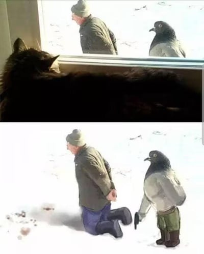 这是一张上下拼接的对比梗图，上图展示了室内一只黑猫正趴在窗边，专注地看向窗外雪地中站立的戴帽老人与一只鸽子的日常场景；下图则是对窗外场景的创意P图改编，创作者将鸽子的身体替换为穿着工装裤、靴子，手持类似物品的人类下半身，同时让原本站立的老人变为跪地姿态，营造出老人被“人形鸽子”审讯的荒诞滑稽画面，通过视觉反差和图像合成制造出强烈的搞笑效果。