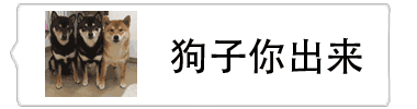 狗子你出来动态表情包