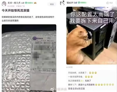这是一张左右拼接的社交媒体截图梗图，左侧是来自广东的网友“五河、狂三〆”的愤怒吐槽帖，称自己刚买的内存条连快递包装被流浪猫叼走，还晒出被破坏的快递包装照片；右侧是网友“轻659”发布的橘猫伸爪子进电脑机箱的趣味图片，配文“你这配置太高端了 我要拆下来自己用”，刚好和左侧的吐槽形成搞笑的联动呼应，右侧评论区的网友也纷纷玩梗调侃，整体氛围搞笑又贴合养宠人士遇到宠物搞破坏的崩溃瞬间，无谐音双关或暗示内容。