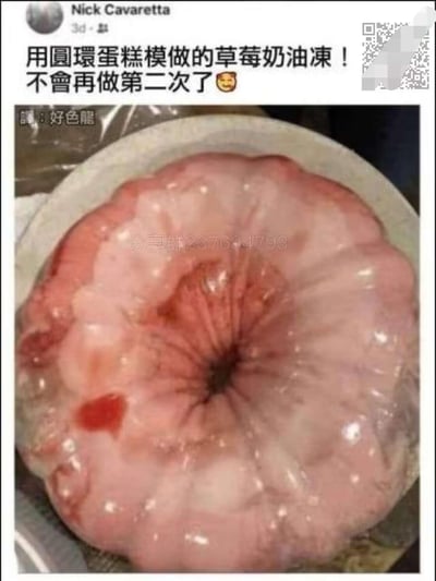 这是一张社交媒体上分享的失败料理图，博主尝试用圆环蛋糕模制作草莓奶油冻，成品的粉肉色形态却意外高度酷似人体内脏（类似大肠组织），视觉效果十分重口违和。博主配文表示「不会再做第二次了」，带着尴尬的表情，这强烈的违和感让这张失败料理图成为搞笑梗图，笑点在于甜点和内脏的视觉错位，带来荒诞的搞笑效果。
