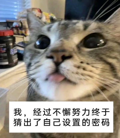 这是一张搞笑宠物表情包，主体是一只美短猫咪，它凑近镜头，眼睛圆睁，吐出一小截舌头，表情呆傻又带着恍惚感。图片下方配有文字“我，经过不懈努力终于猜出了自己设置的密码”，用猫咪的搞笑神态调侃人们生活中忘记自己设置的密码，费劲找回的窘迫又好笑的经历，精准贴合很多人记不住密码的真实日常，容易引发观者的共鸣，适合在社交平台用来吐槽这类哭笑不得的小事。
