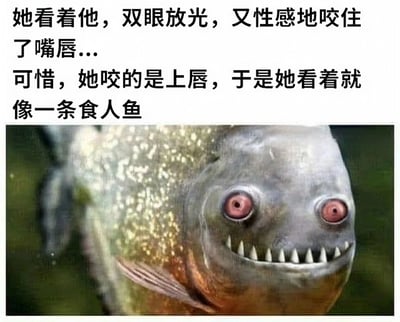 图片上方为黑色文字描述：“她看着他，双眼放光，又性感地咬住了嘴唇...可惜，她咬的是上唇，于是她看着就像一条食人鱼”。下方是一张食人鱼的特写照片，鱼眼突出呈红色，嘴巴张开露出尖锐牙齿，与文字描述形成幽默对比，通过浪漫场景预期与滑稽动物形象的反差制造笑点。
