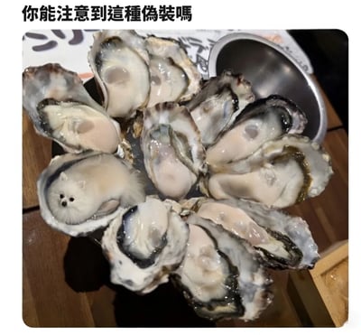 图片展示了一盘打开的生蚝，多数蚝壳中是正常的生蚝肉，但其中一个蚝壳里却“藏”着一只白色绒毛小生物，它有着黑色的小鼻子和眼睛，外形与周围的生蚝肉颜色、质感相似，仿佛在进行“伪装”。图片顶部配有文字“你能注意到這種偽裝嗎”，通过将小动物巧妙融入生蚝场景，利用视觉相似性制造出趣味十足的伪装效果，让人在乍看之下难以发现异常，带有明显的幽默和惊喜感。