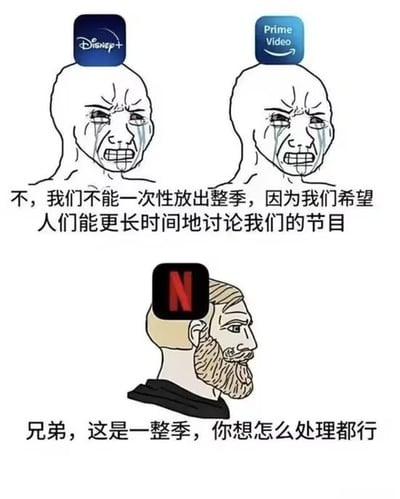 梗图通过三个卡通人物对比流媒体平台的剧集更新策略：上方两个流泪的Wojak人物分别头顶Disney+和Prime Video标志，配文“不，我们不能一次性放出整季，因为我们希望人们能更长时间地讨论我们的节目”；下方人物头顶Netflix标志，表情从容，配文“兄弟，这是一整季，你想怎么处理都行”。通过夸张的情绪对比（无奈哭泣vs自信淡定），幽默吐槽不同平台的内容发布模式差异。