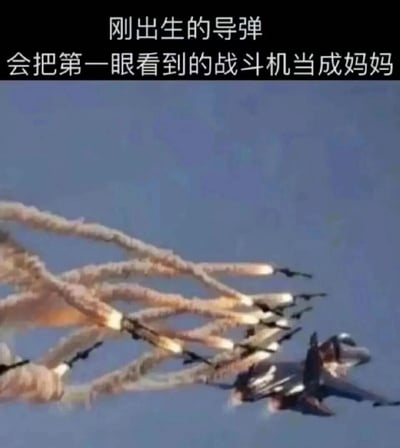 这是一张经过P图改编的搞笑网络梗图，画面原本是战斗机发射干扰弹或导弹的军事飞行场景，创作者将多枚“导弹”的头部替换成了小型战斗机的模样，让这些“导弹”追随着画面右前方的一架战斗机飞行。配合上方的文字“刚出生的导弹会把第一眼看到的战斗机当成妈妈”，模仿动物界的印随行为（如幼崽会把第一眼看到的移动物体认作母亲）进行拟人化玩梗，赋予冰冷的军事武器幼崽认亲的趣味设定，制造出荒诞滑稽的搞笑效果。