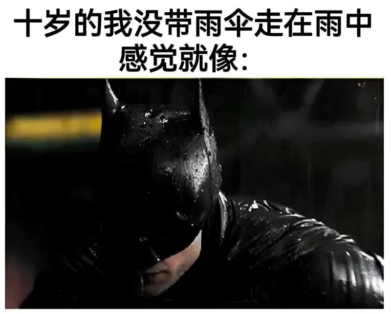 《新蝙蝠侠》