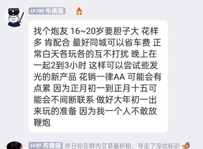 这是一张社交群聊的静态截图，内容是网友的春节整活段子。LV100的用户“布偶猫”发布了一段极具迷惑性的文案，开头用类似找“炮友”的暧昧表述，包含年龄要求、时间安排、AA制等内容，引导读者产生误解，最后反转说明是因为自己不敢放鞭炮，寻找一起放鞭炮的朋友，时间为正月初一到十五，尤其要做好大年初一一起的准备，利用“炮友”的谐音（放鞭炮的朋友）制造反差笑点；下方LV87的“布偶猫”还调侃该用户之前在群内的活跃表现，整个内容充满趣味，是春节相关的搞笑整活内容。