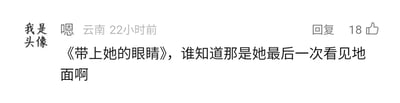 这是一张静态的社交媒体评论横版截图，整体排版清晰。左上角有“我是头像”的占位标识，评论发布者昵称显示为“嗯”，所在地标注为云南，发布时间为22小时前，评论右侧设有“回复”按钮，且该评论获得了18个点赞。评论的核心内容为“《带上她的眼睛》，谁知道那是她最后一次看见地面啊”，传递出发布者对该科幻作品中角色遭遇的唏嘘与感慨。