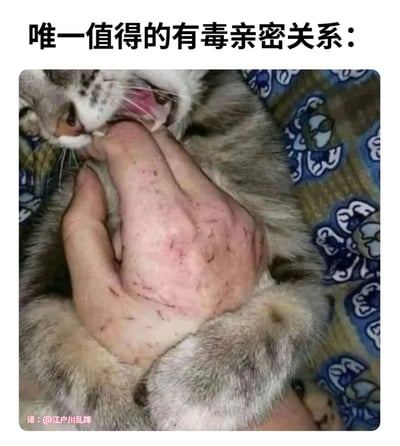 图片上方配有文字“唯一值得的有毒亲密关系：”，下方是一只灰白色猫咪正在舔舐人类手掌的照片。手掌上可见多处细小抓痕，暗示猫咪日常互动中可能造成的“伤害”，但结合文字形成幽默反差——将人与宠物猫之间又爱又“恨”的亲密关系调侃为“有毒却值得”，展现宠物主人对猫咪又疼又爱的复杂情感。