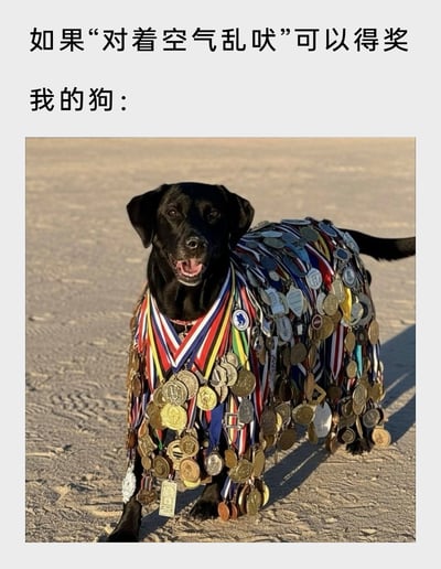 这是一张宠物主题的搞笑梗图，上方配有文字“如果‘对着空气乱吠’可以得奖 我的狗：”，下方是一只黑色拉布拉多犬的实拍照片。狗狗站在沙质地面上，全身挂满了各式各样的奖牌与彩色绶带，几乎覆盖了整个身体，它嘴巴张开、露出舌头，表情看起来十分开心兴奋。这张图通过夸张的设定，将狗狗爱对着空气无意义吠叫的常见日常行为，设定为可以获奖的“项目”，用挂满奖牌的画面来表现它在这个“项目”上的“卓越成就”，制造出强烈的幽默反差，能让养宠人士产生共鸣，属于网络上流行的宠物趣味内容。