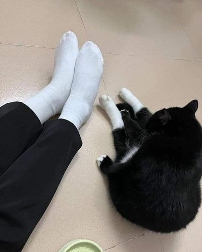 照片展示了一个人穿着黑色裤子和白色袜子的双脚，旁边一只黑白相间的猫咪正蜷缩在米色瓷砖地板上。猫咪似乎在玩耍或休息，画面呈现出人与宠物之间温馨和谐的日常场景。