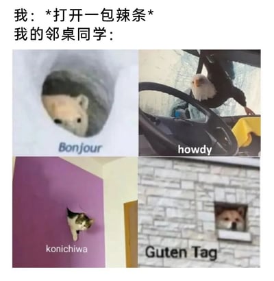 这是一张搞笑校园梗图，上方文字为“我：*打开一包辣条* 我的邻桌同学：”，下方是四格拼接的动物图片。左上角是一只老鼠从洞中探出脑袋，配文“Bonjour”（法语“你好”）；右上角是一只鹰从车中探身，配文“howdy”（英语方言“你好”）；左下角是一只猫从紫色墙壁的洞口爬出，配文“konichiwa”（日语“你好”）；右下角是一只狗从石墙窗口探出头，配文“Guten Tag”（德语“你好”）。通过夸张地用不同语言打招呼的动物形象，幽默表现了邻桌同学闻到辣条香味后纷纷好奇围观的场景。