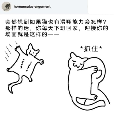这是一幅充满脑洞的趣味卡通漫画，作者以“猫咪拥有滑翔能力”为假设，描绘了主人下班回家时会遇到的搞笑场景：左侧的猫咪模仿飞鼠的形态，张开四肢开心地滑翔而来，脸上带着愉悦的微笑；右侧的猫咪则搞怪地模仿滑翔动物降落时的固定姿态，用自己的尾巴把身体“抓住”，表情惬意又滑稽。整体内容将猫咪的可爱特质与无厘头的脑洞创意结合，营造出温馨又搞笑的氛围，让人忍俊不禁。