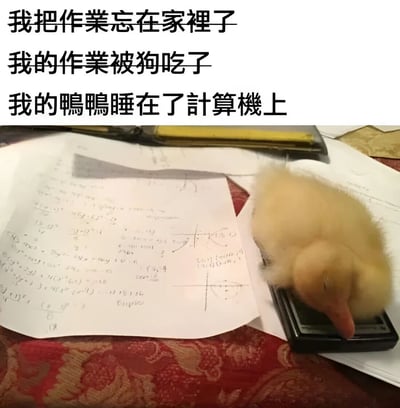 这张梗图通过幽默的方式展示了学生常见的作业借口升级版。图片上方有三行文字，前两行是经典的作业借口："我把作业忘在家里了"和"我的作业被狗吃了"，第三行则是创新的借口"我的鸭鸭睡在了计算机上"。图片下方是一张实拍照片，显示一只黄色的小鸭子确实趴在计算器上睡觉，旁边散落着写满数学公式的作业纸，完美呼应了第三个借口，形成了有趣的视觉幽默效果。