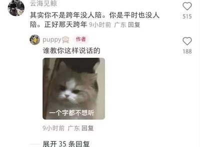 社交媒体截图展示了一条扎心评论互动：用户“云海见鲸”回复作者“puppy”称“其实你不是跨年没人陪。你是平时也没人陪。正好那天跨年”，获515赞；作者则用一张低头、表情不耐烦的猫表情包回复“谁教你这样说话的”，猫图配文“一个字都不想听”，获188赞。整体氛围幽默中带着自嘲，揭示了“平时孤独被跨年放大”的真相。