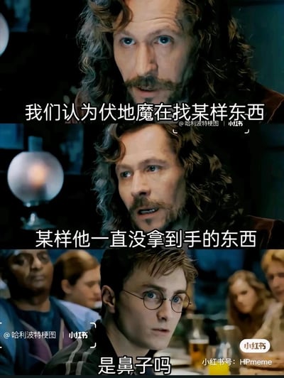 这是一张由《哈利波特》系列电影截图拼接而成的三格搞笑梗图，前两格是小天狼星布莱克带着严肃的神情，依次说出“我们认为伏地魔在找某样东西”“某样他一直没拿到手的东西”，营造出紧张的氛围，第三格哈利波特则露出疑惑又带点调侃的表情，抛出“是鼻子吗”的吐槽，精准结合了伏地魔没有鼻子的经典角色设定，制造出反差搞笑的效果，图中多处带有小红书平台的创作者水印。