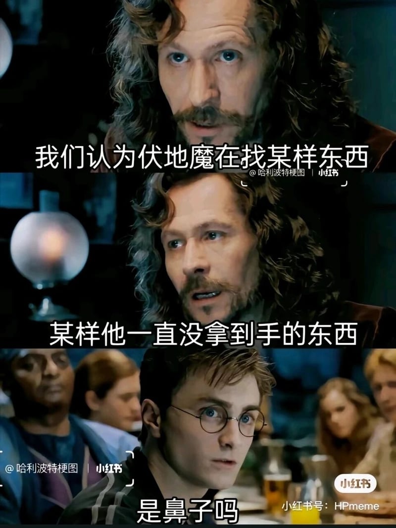 哈利·波特