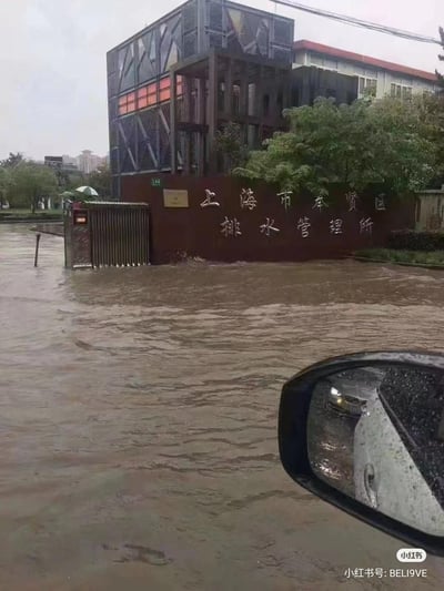 这张实拍图展现了上海市奉贤区排水管理所的门口区域遭遇严重城市内涝的场景：浑浊泛黄的积水几乎淹没了管理所的大门，原本负责城市排水工作的机构自身被积水围困，形成了极具荒诞讽刺感的画面，让人在哭笑不得的同时，也对极端天气下的城市排水能力产生调侃。