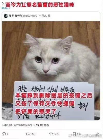 这张图是一只表情无辜的猫咪，前面有块纸板，上面大字写着：本猫踩到删除图层的按键之后又按了保存文件快捷键，把饲主的蒙哭了。整个画面用“认罪”搞笑形式表现猫咪常见的键盘恶作剧，和设计师的痛点结合，气氛无奈好笑。红字“至今为止罪名最重的恶性猫咪”加深刑侦和夸张反差效果，容易引发共鸣。
有双关暗示：猫常误触键盘，这里戏剧化地称之为“恶性犯罪”，形成幽默对比。