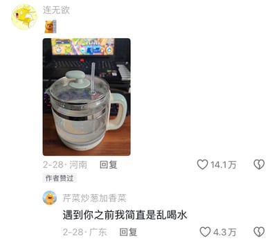 这是一张社交媒体评论区截图，顶部用户“连无欲”发布实拍图：将玻璃养生壶改造为大容量水杯，在壶盖上开孔插入透明吸管直接装水饮用，背景能看到一台打开的笔记本电脑。下方是用户“芹菜炒葱加香菜”的热门评论，文字内容为“遇到你之前我简直是乱喝水”，该评论化用土味情话“遇见你之前我都是乱谈恋爱”，结合内容改“谈恋爱”为“喝水”，形成诙谐搞笑的效果，这条评论获4.3万赞，原内容获14.1万赞，评论还被原作者点赞。