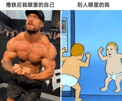 这是一张通过左右对比制造搞笑效果的梗图，左半部分配有文字“撸铁后我眼里的自己”，展示了一位肌肉极度发达、线条清晰的男性，他双手握拳，摆出展示肌肉的姿势，表情严肃自信，充满力量感，代表着健身人群在锻炼后对自己身材的理想化认知；右半部分配有文字“别人眼里的我”，截取自动画《乡巴佬希尔一家的幸福生活》中的角色鲍比·希尔，他穿着尿不湿，对着镜子摆出类似的姿势，但身材圆胖臃肿，和左侧的健硕形象形成强烈反差，用夸张的方式调侃了健身者自我认知与他人眼中形象的巨大差距，戳中了很多健身爱好者的趣味共鸣点。