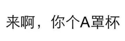 图片为纯文字内容，白色背景上有黑色简体中文字符：“来啊，你个A罩杯”。文字内容带有挑衅和调侃的语气，可能用于非正式的社交互动或玩笑场景。