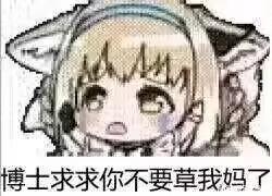 这是一张二次元卡通风格的恶搞梗图，画面主体是一位有着浅色头发与兽耳的二次元女孩，她双眼睁大，面露恳求、委屈的神情，图片下方配有文字“博士求求你不要草我妈了”，用夸张且荒诞的恳求语句制造搞笑效果，属于游戏相关的玩梗表情包，多用于网络搞笑互动或者游戏社区的趣味发言。