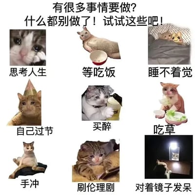 图片顶部配有文字'有很多事情要做？什么都别做了！试试这些吧！'，下方是9张猫咪图片组成的3x3网格，每张图片下方对应不同的摸鱼行为文字说明，分别为'思考人生'（一只猫咪托腮凝视）、'等吃饭'（一只无毛猫趴在碗边）、'睡不着觉'（两只猫咪在被窝里）、'自己过节'（戴生日帽的猫咪）、'买醉'（猫咪抱酒瓶）、'吃草'（猫咪吃菜叶）、'手冲'（猫咪摊坐姿势）、'刷伦理剧'（猫咪趴床上看平板）、'对着镜子发呆'（猫咪照镜子）。整体通过可爱的猫咪形象幽默地表达了逃避工作、享受摸鱼时光的轻松态度。