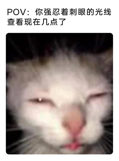 这是一张引发日常共鸣的表情包，上方配文“POV：你强忍着刺眼的光线查看现在几点了”，下方是一只浅色猫咪的面部特写，猫咪双眼因强光刺激而眯起，一只眼睛还带有强光的反光，生动还原了人们在昏暗环境（比如深夜醒来）中，突然打开手机被屏幕强光刺激，强忍着不适查看时间的真实状态，画面和文字结合紧密，精准戳中了人们的日常体验，适合用来表达这种无奈又真实的感受。