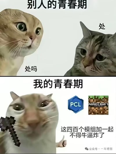 这是一张上下结构的对比类搞笑梗图，使用网络热门猫咪表情包创作。上半部分标题为「别人的青春期」，左侧黄橘猫睁大眼睛配文「处吗」，右侧灰狸花猫神情冷淡配文「处」，调侃部分人青春期更关注恋爱交友的状态；下半部分标题为「我的青春期」，是面部扭曲、神情亢奋的猫咪，旁边搭配《我的世界》像素镐、PCL我的世界启动器图标、《我的世界》游戏图标，配文「这四百个模组加一起不得牛逼炸了」，调侃游戏爱好者的青春期精力都投入在游戏内容研究上，两种青春期状态形成鲜明反差，极易引发游戏玩家的共鸣。