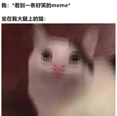 图片上方有两行文字，分别是‘我：*看到一条好笑的meme*’和‘坐在我大腿上的猫：’，下方是一张风格化处理的猫脸图像。猫脸呈现模糊、略带抽象的质感，眼神似乎透露出困惑或漠然，整体通过文字与图像的结合，幽默地表现了主人看到有趣内容时，宠物猫毫无反应的反差感，营造出轻松搞笑的氛围。