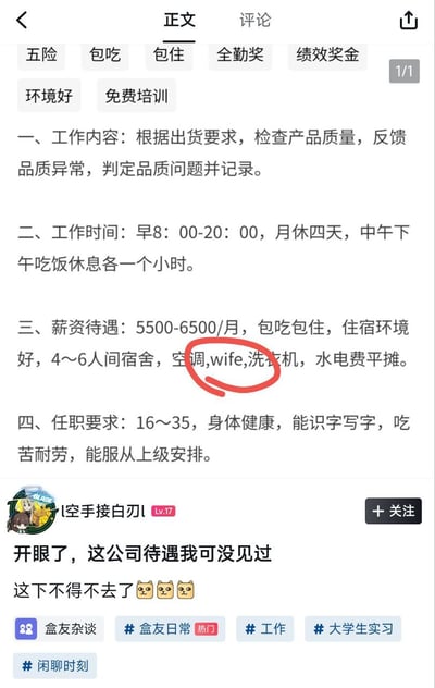 图片为一则招聘启事的社交媒体截图，内容包含工作内容、时间、薪资待遇和任职要求。薪资待遇中提到住宿环境有空调、wife、洗衣机（明显为WiFi的拼写错误），该错误被红色圆圈重点标注。下方有用户评论：'开眼了，这公司待遇我可没见过 这下不得不去了🐱🐱🐱'，并带有#盒友杂谈、#工作等话题标签。整体内容因'wife'的搞笑拼写错误引发网友调侃。