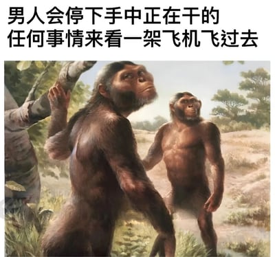 图片上方配有文字“男人会停下手中正在干的任何事情来看一架飞机飞过去”，下方是两只类人猿仰望天空的插画。通过将现代男性观看飞机的行为与原始猿类仰望天空的姿态并置，幽默地调侃男性对飞机的本能关注，仿佛这种反应是从远古时期延续下来的原始本能。
